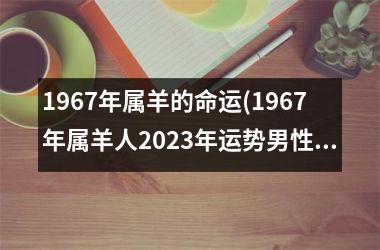 <h3>1967年属羊的命运(1967年属羊人2025年运势男性)