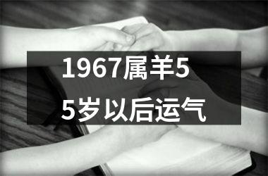 1967属羊55岁以后运气