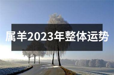 属羊2025年整体运势