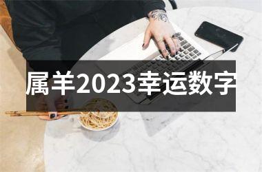 属羊2025幸运数字