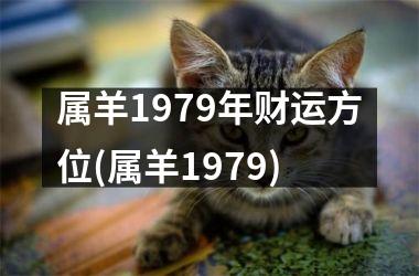 属羊1979年财运方位(属羊1979)