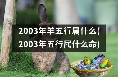 2003年羊五行属什么(2003年五行属什么命)