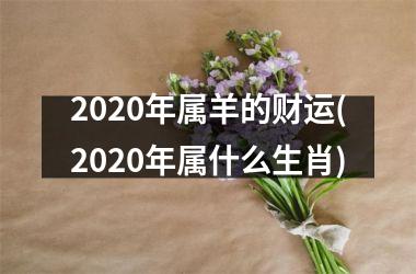 2025年属羊的财运(2025年属什么生肖)