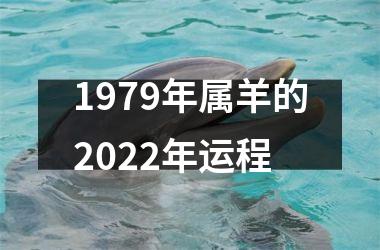 1979年属羊的2025年运程