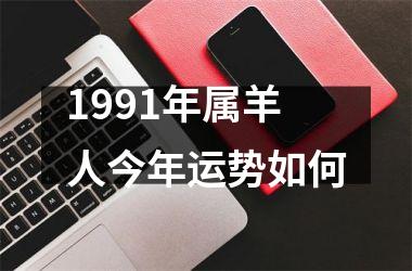 1991年属羊人今年运势如何