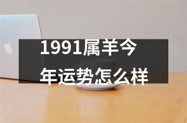 1991属羊今年运势怎么样