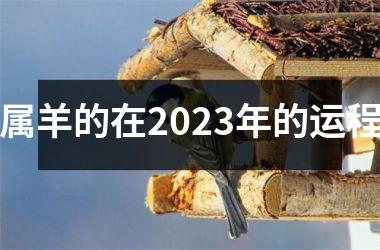 属羊的在2025年的运程