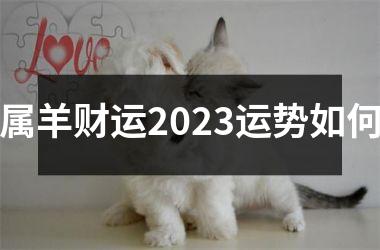 属羊财运2025运势如何