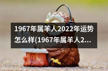 1967年属羊人2025年运势怎么样(1967年属羊人2025年运势男性)