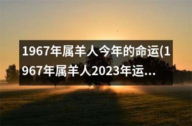 <h3>1967年属羊人今年的命运(1967年属羊人2025年运势男性)