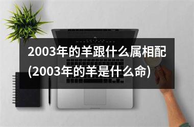 2003年的羊跟什么属相配(2003年的羊是什么命)