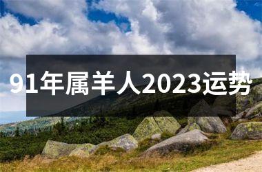 91年属羊人2025运势