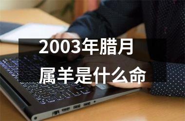 <h3>2003年腊月属羊是什么命