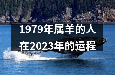 1979年属羊的人在2025年的运程