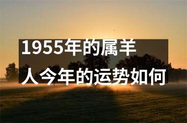 <h3>1955年的属羊人今年的运势如何