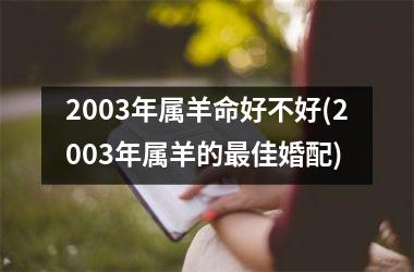 2003年属羊命好不好(2003年属羊的最佳婚配)