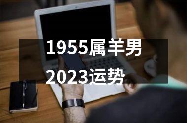 <h3>1955属羊男2025运势