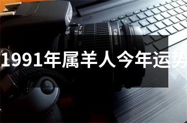 1991年属羊人今年运势