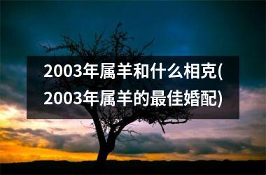 2003年属羊和什么相克(2003年属羊的最佳婚配)