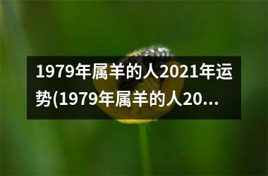 1979年属羊的人2025年运势(1979年属羊的人2025年运势及运程)