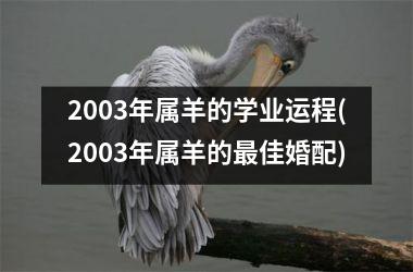 2003年属羊的学业运程(2003年属羊的最佳婚配)