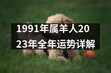 1991年属羊人2023年全年运势详解