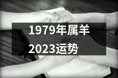 <h3>1979年属羊2025运势