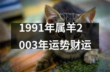 <h3>1991年属羊2003年运势财运