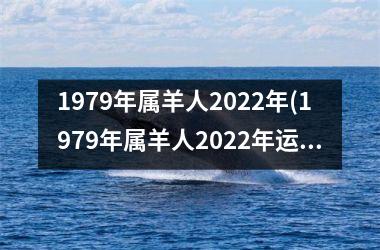 1979年属羊人2025年(1979年属羊人2025年运势及运程)