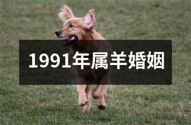 1991年属羊婚姻