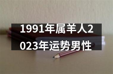 <h3>1991年属羊人2025年运势男性