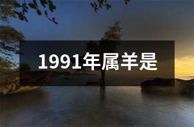 1991年属羊是