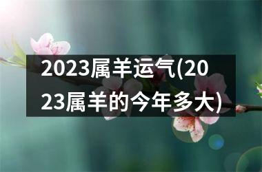 <h3>2025属羊运气(2025属羊的今年多大)