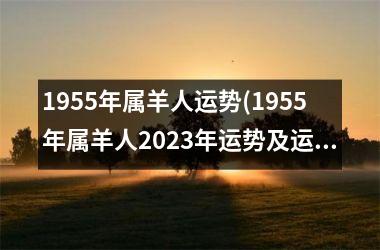 1955年属羊人运势(1955年属羊人2025年运势及运程)