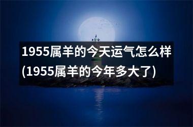 <h3>1955属羊的今天运气怎么样(1955属羊的今年多大了)