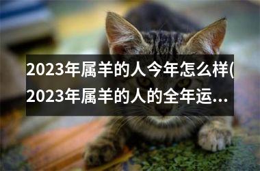 2025年属羊的人今年怎么样(2025年属羊的人的全年运势 1979年)