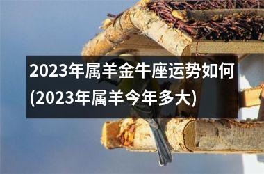 <h3>2025年属羊金牛座运势如何(2025年属羊今年多大)