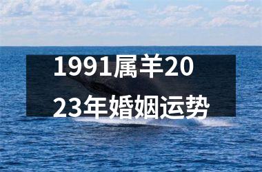 1991属羊2025年婚姻运势