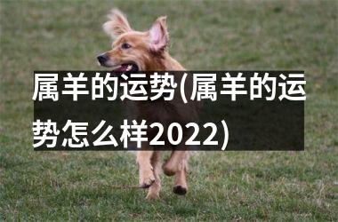 属羊的运势(属羊的运势怎么样2025)