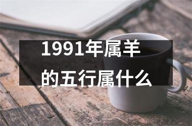 1991年属羊的五行属什么