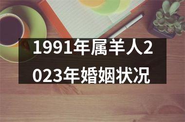 1991年属羊人2025年婚姻状况