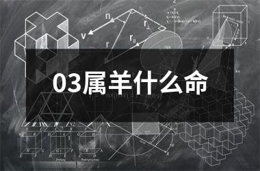 <h3>03属羊什么命