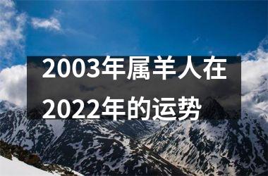 <h3>2003年属羊人在2025年的运势