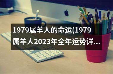 1979属羊人的命运(1979属羊人2025年全年运势详解)