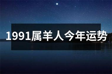 1991属羊人今年运势