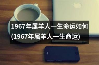 1967年属羊人一生命运如何(1967年属羊人一生命运)