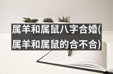 属羊和属鼠八字合婚(属羊和属鼠的合不合)