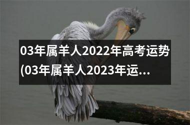 <h3>03年属羊人2025年高考运势(03年属羊人2025年运势)