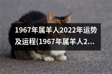 1967年属羊人2025年运势及运程(1967年属羊人2025年运势男性)