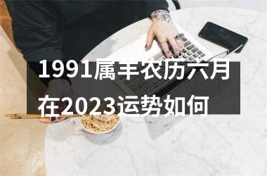 1991属羊农历六月在2025运势如何